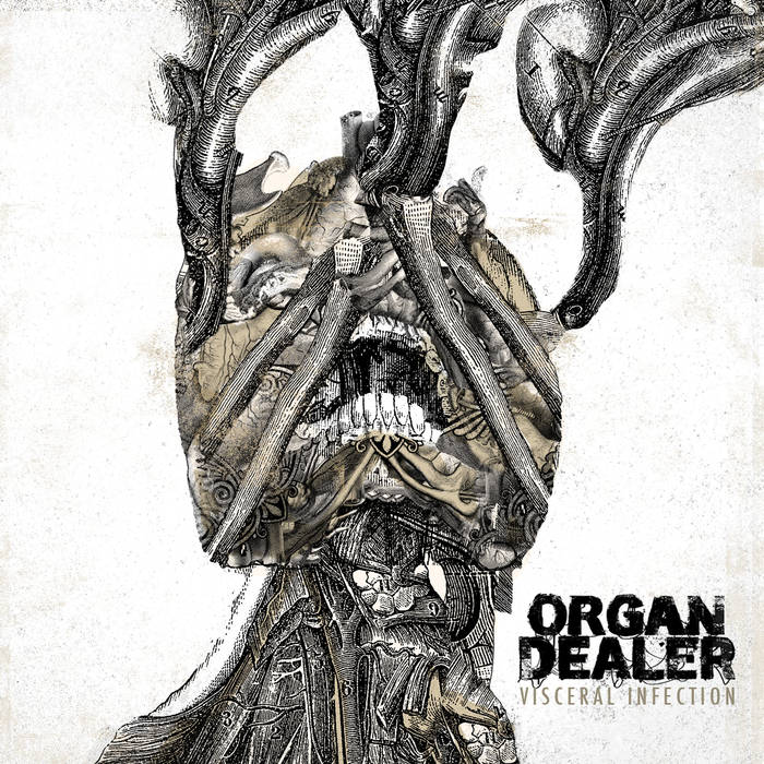 Organ Dealer - Visceral Infection - Download (2015)